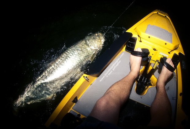 Seadek-hobie-hogy-tarpon-boatside-IA-620x422 Southwest Florida Tarpon Season In Full Swing 2014 Reports Fishing Reports  