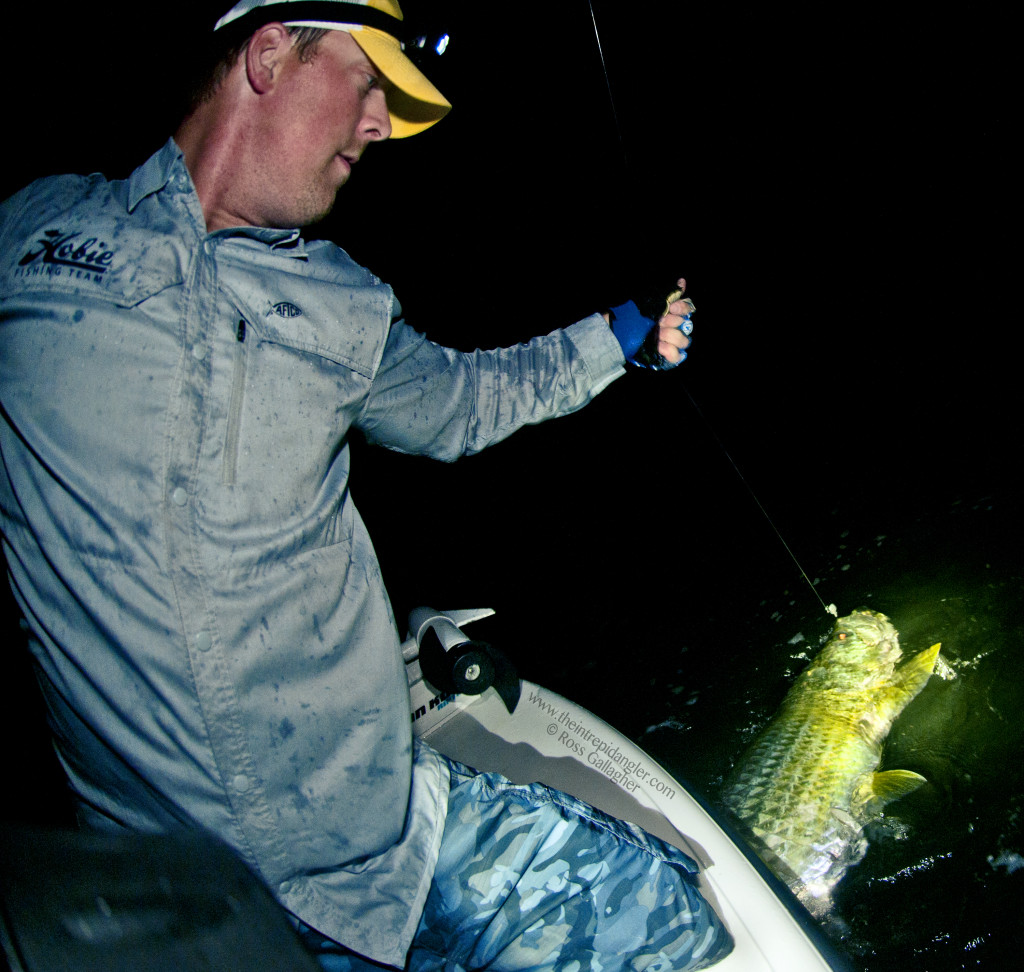 Ross-Aftco-Hogy-Sewell-Boatside-Tarpon-WM-1024x972 Into June and Lots More Poon 2014 Reports Fishing Reports Tarpon Videos Videos  