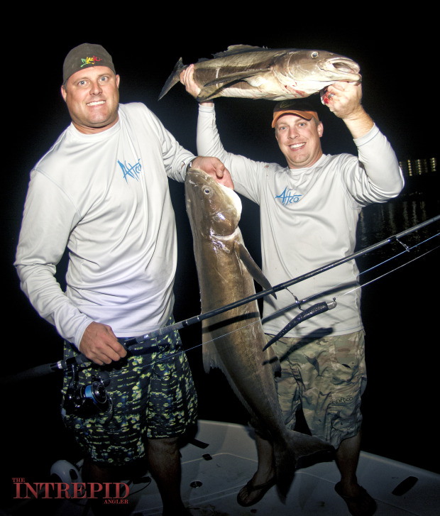 Cobia-Pair-Aftco-Sewell-Hogy-WM-620x727 Late Season Tarpon, Cobia & Snook - Pine Island, Sanibel, Fort Myers, Cape Coral Inshore Fishing Reports 2014 Reports Fishing Reports  
