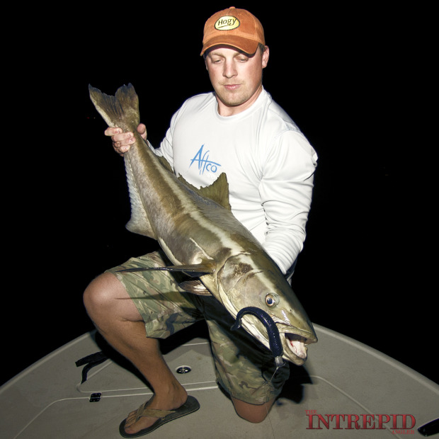 Night-Cobia-Hogy-Aftco-WM-620x620 Late Season Tarpon, Cobia & Snook - Pine Island, Sanibel, Fort Myers, Cape Coral Inshore Fishing Reports 2014 Reports Fishing Reports  