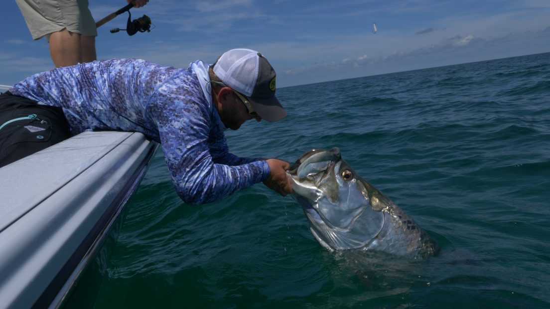 6 Tips For Tarpon: Best Fishing Leaders, Knots And Lures - The Intrepid 