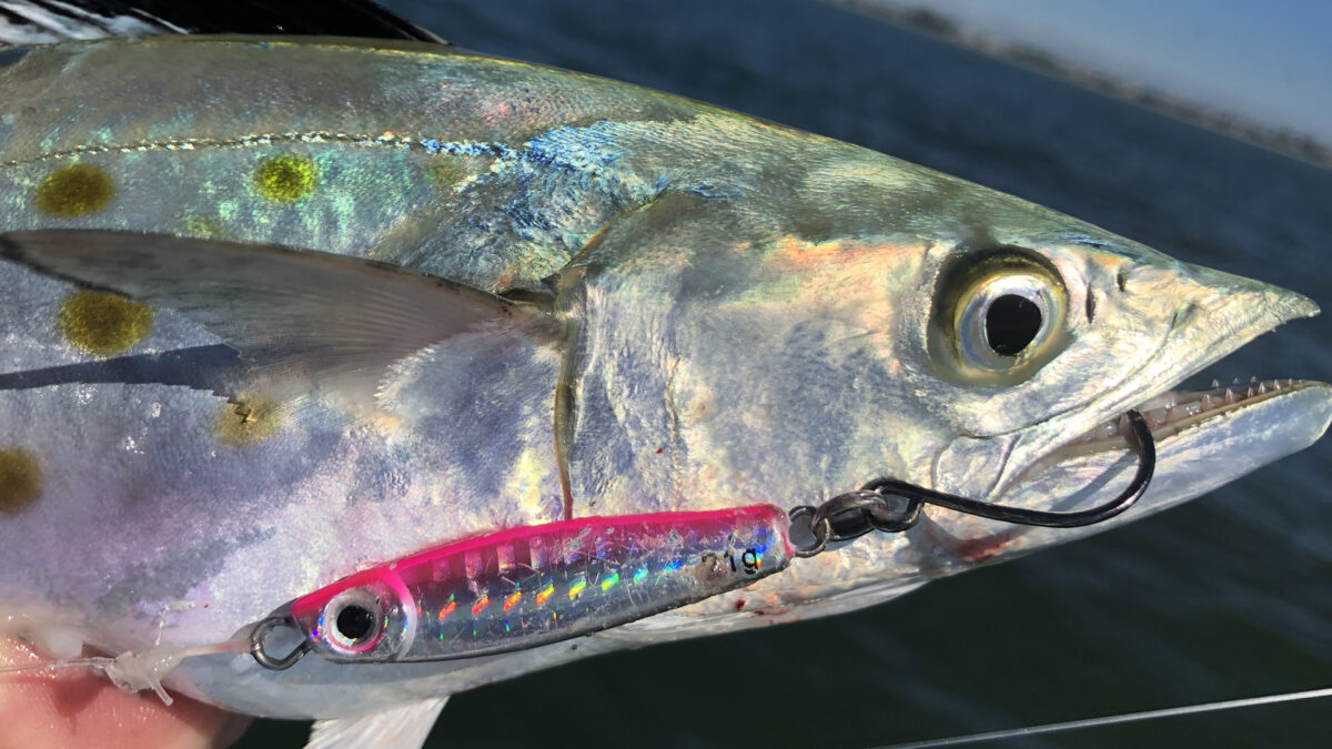 best rod for spanish mackerel