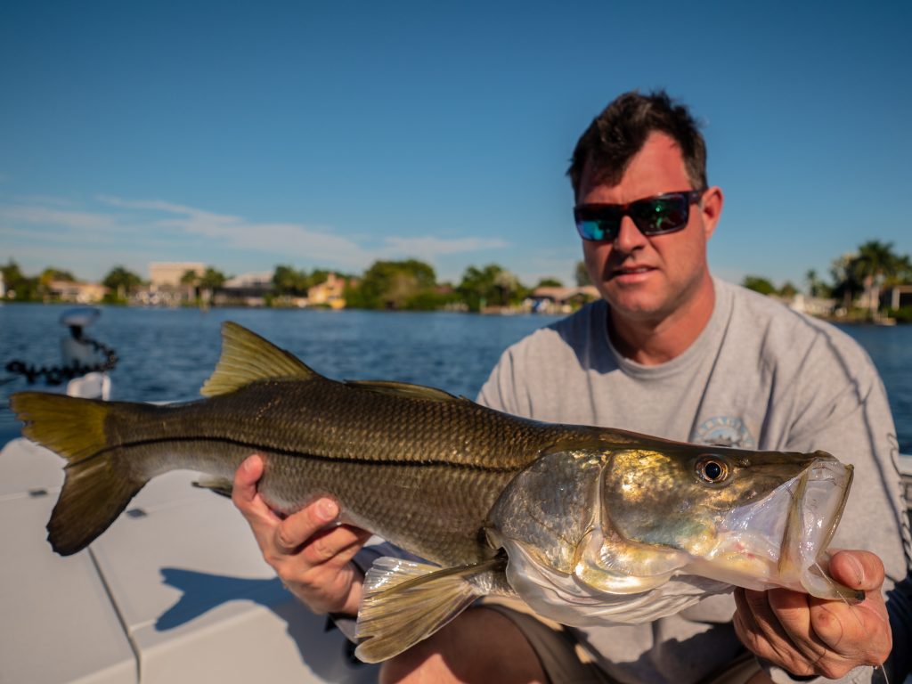 untitled-9-1-1024x768 December Fishing Report - Snook, Redfish, Black Drum, Tripletail in Fort Myers, Cape Coral, Sanibel, Captiva 2018 Reports Fishing Reports  