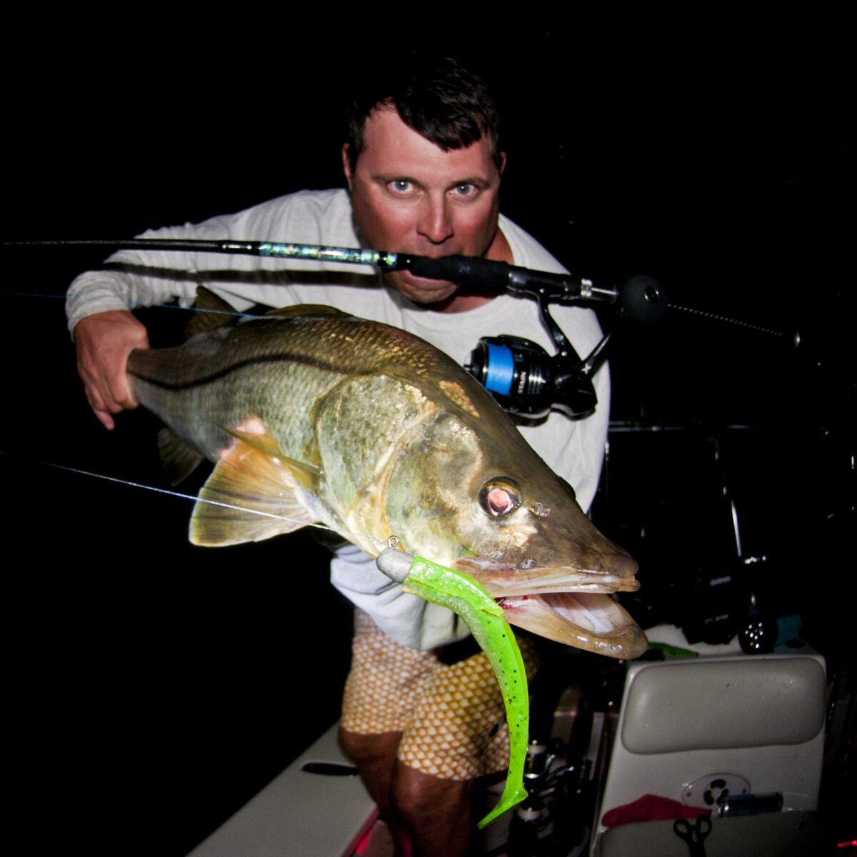 Snook in the Darkness – Sewell Rod for Large Soft Baits - The Intrepid  Angler