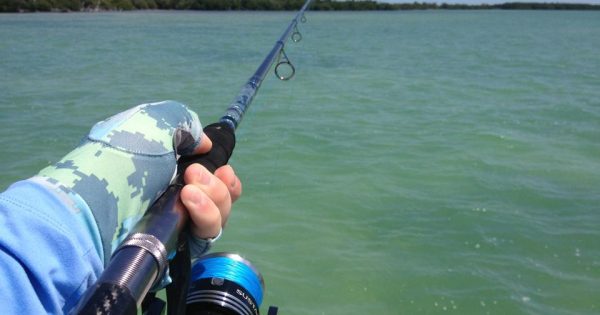 Gear Review: Shimano Sustain 10000 FG - The Perfect Tarpon Spinning ...