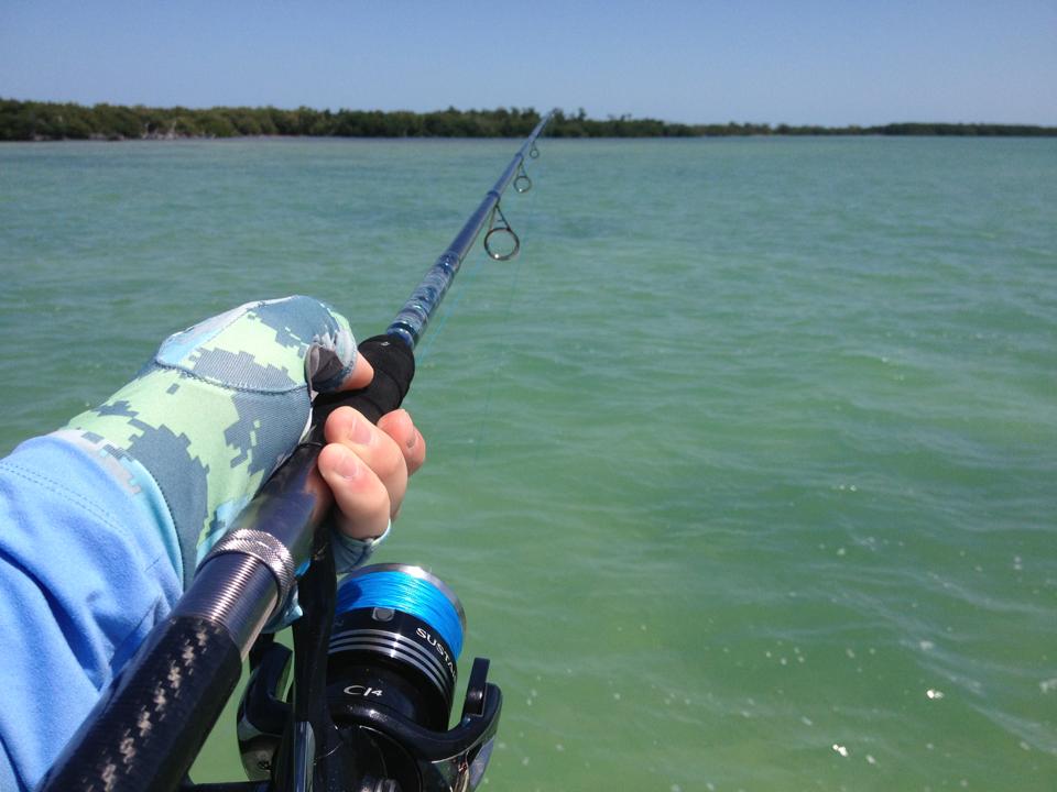 Gear Review: Shimano Sustain 10000 FG – The Perfect Tarpon