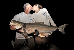 Cobia-Sierra-3-300x206 Unexpected Guests - Late April Fishing Report Sanibel, Pine Island Sound, Fort Myers, Cape Coral 2014 Reports Fishing Reports  