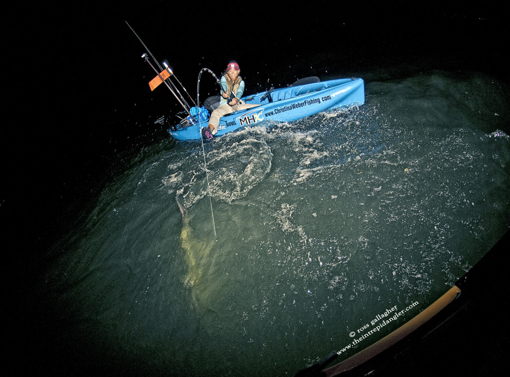 Weber-Tarpon-Action-Hobie-WM-1024x758 Full Moon Tarpon Adventures in Southwest Florida 2014 Reports Blog Fishing Reports  