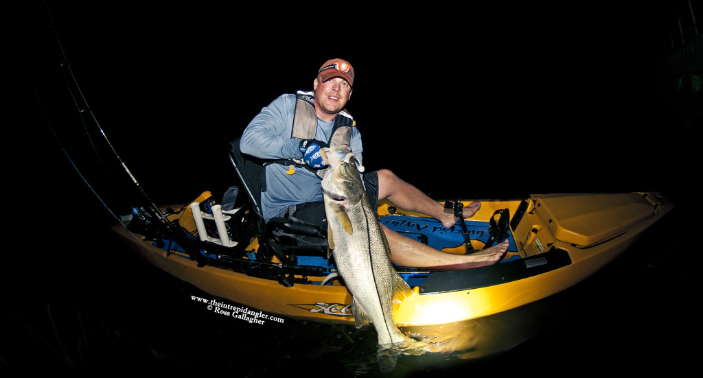 Ross-44inch-Hobie-Hogy-Snook-Paddle-Tail-WM-1024x551 Total Fishing Insanity - Late June Fishing Report for Fort Myers, Sanibel, Cape Coral 2014 Reports Fishing Reports  