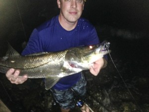 IMG_5469-300x225 August Fishing Report: Dog Days for Tarpon, Snook & Redfish - Pine Island, Fort Myers, Cape Coral, Sanibel Island 2014 Reports Fishing Reports  