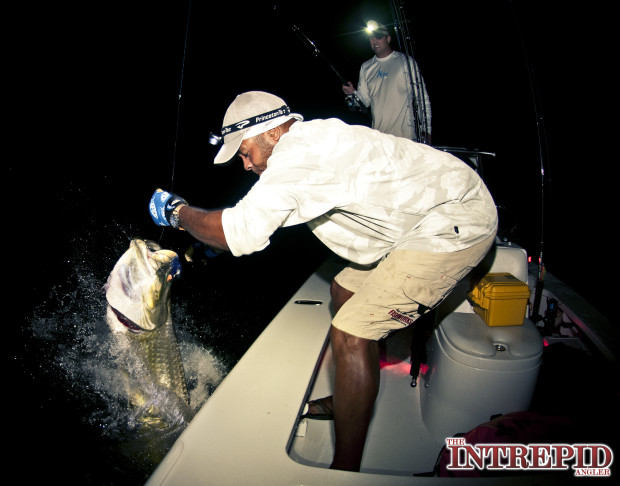 Jumping-Tarpon-Jay-Hogy-620x486 August Fishing Report: Dog Days for Tarpon, Snook & Redfish - Pine Island, Fort Myers, Cape Coral, Sanibel Island 2014 Reports Fishing Reports  