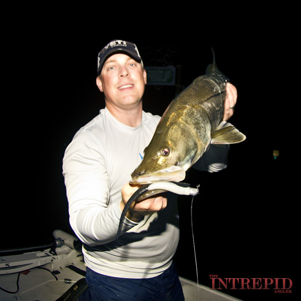 SNOOK_HDUV_EEL_BARBARIAN1-620x620 Spring Tarpon Kickoff: Early March Fish Beginning to Show - Fort Myers, Sanibel, Cape Coral, Pine Island 2015 Reports Fishing Reports  