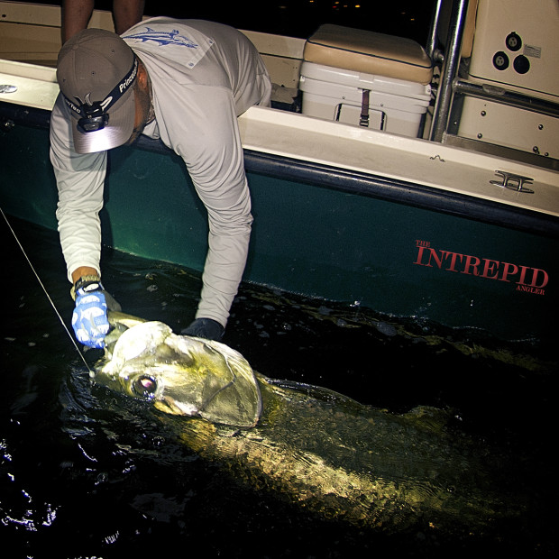 Jay-Tarpon-Boatside-Lift-WM-1200-620x620 In A Game Of Kings - Southwest Florida May Tarpon Report 2015 Reports Fishing Reports  
