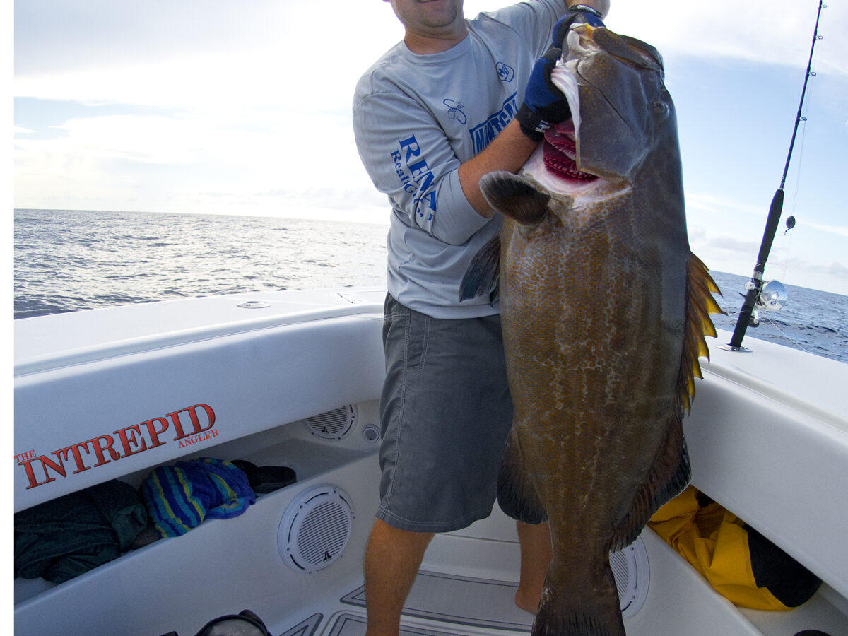 100 Miles Out: Offshore Grouper & Snapper Fishing Southwest Florida - The  Intrepid Angler