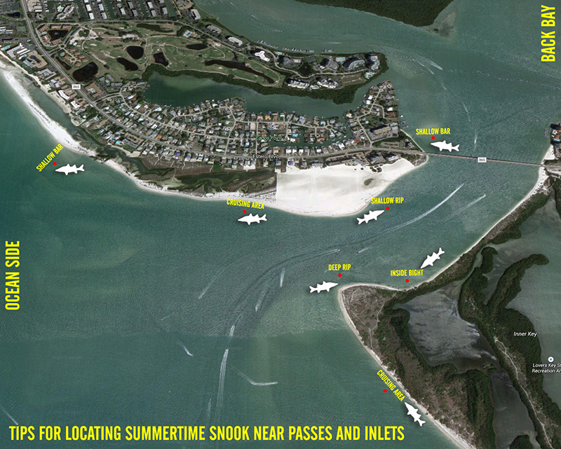 BEACH-SNOOK-DIAGRAM800 6 Tips for Beach Snook Fishing How-To Inshore Fishing  