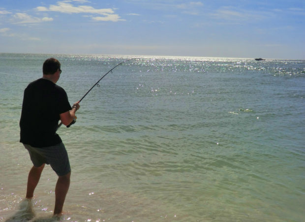 Beach-Snook-Hooked-Up-Scout-Look-1-620x453 6 Tips for Beach Snook Fishing How-To Inshore Fishing  