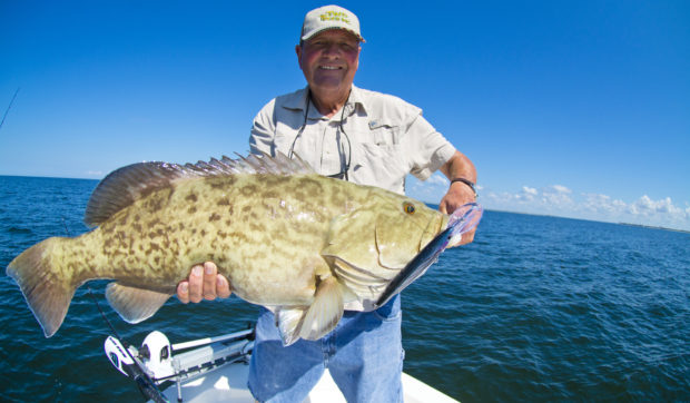 Gropuer-Trolling-Gag-620x362 3 Techniques for Fall Nearshore Grouper Fishing 2016 Reports Blog Fishing Reports How-To Offshore Fishing  