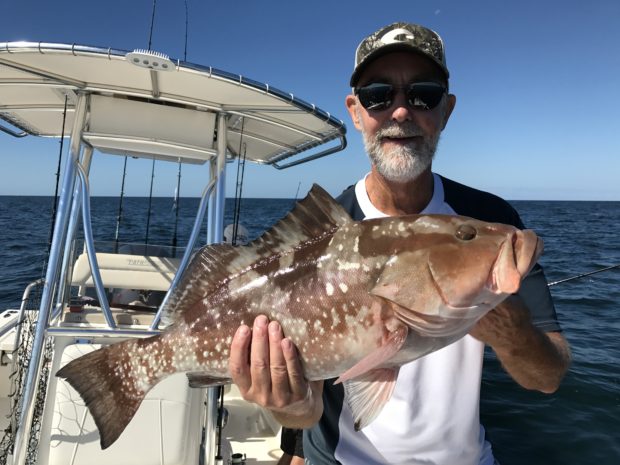 IMG_4444-620x465 3 Techniques for Fall Nearshore Grouper Fishing 2016 Reports Blog Fishing Reports How-To Offshore Fishing  