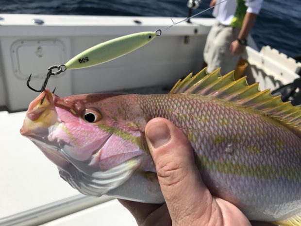 What Lures To Bring On A Florida Keys Fishing Trip - The Intrepid Angler