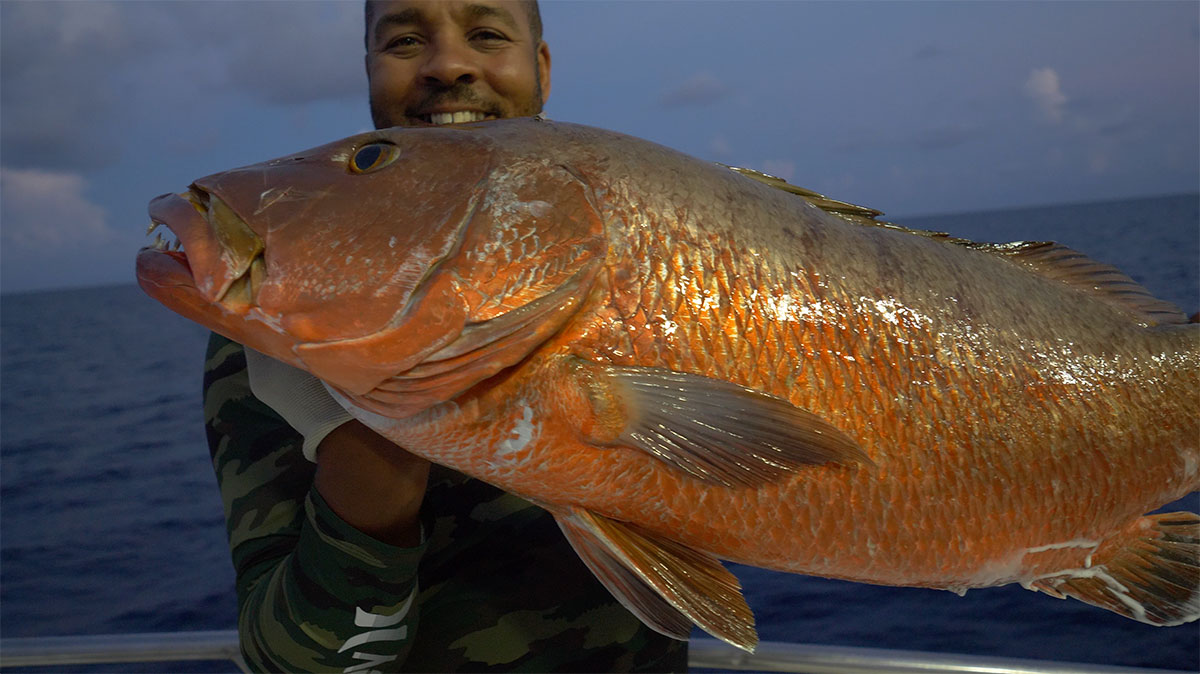 Dry-Tortugas-Cubera-Snapper Video: Dry Tortuga's Party Boat Wreck Fishing How-To Offshore Fishing Videos  