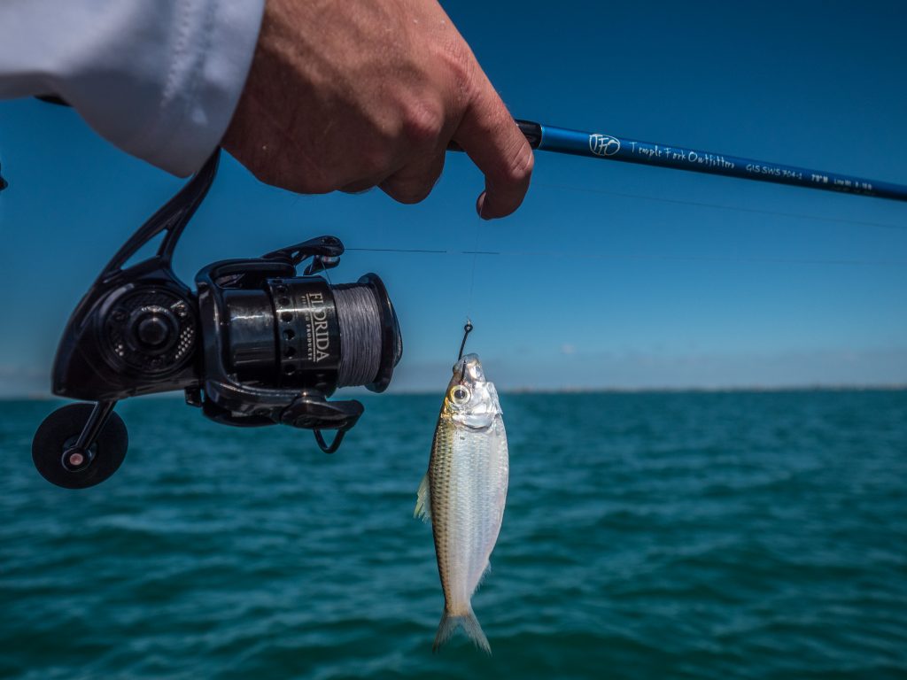 Best fishing tackle for tripletail