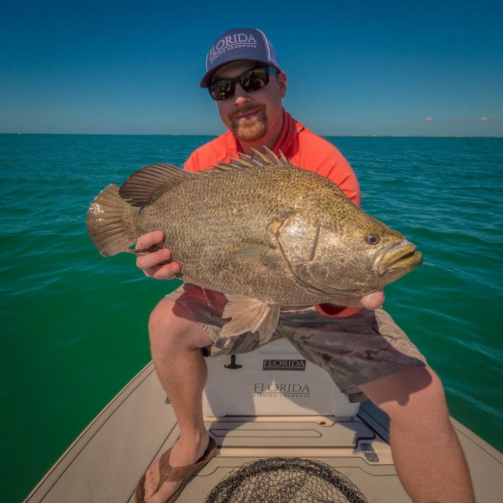 Hands On: FFP Osprey Reel – Spring Tripletail Fishing - The Intrepid Angler