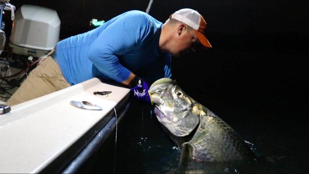 6 Tips for Tarpon: Best Fishing Leaders, Knots and Lures - The Intrepid  Angler