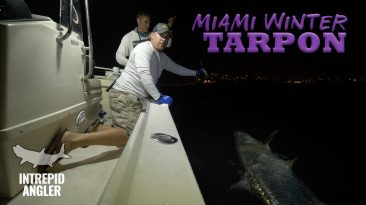 Miami Tarpon Fishing Hogy Lures