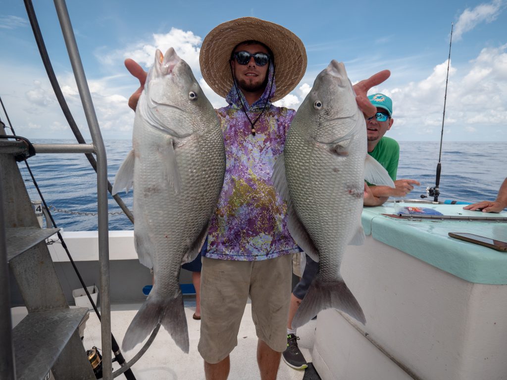 P1011051-2-1024x768 Fishing The Dry Tortuga's Aboard Sea Trek Fishing - Mid Summer Report 2018 Reports  