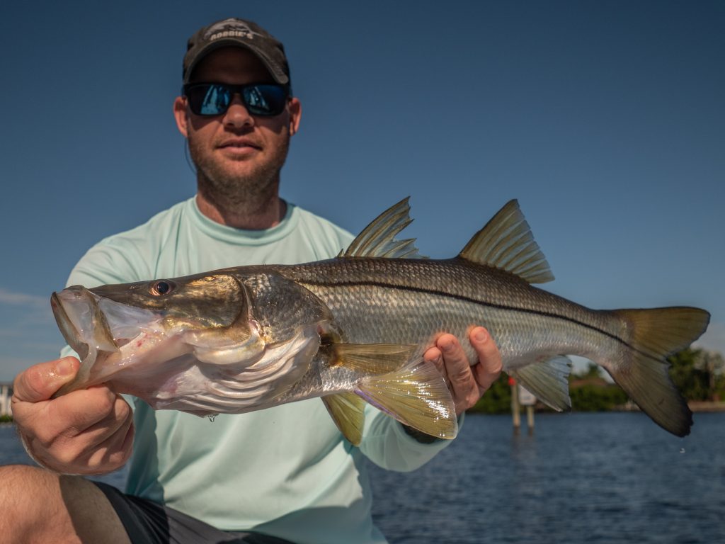 December Fishing Report – Snook, Redfish, Black Drum, Tripletail in Fort  Myers, Cape Coral, Sanibel, Captiva - The Intrepid Angler