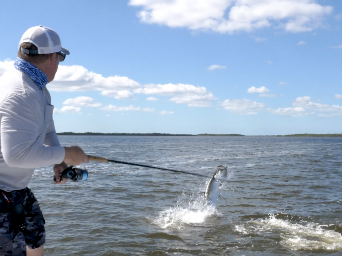 Everglades Tarpon Fishing - The Intrepid Angler